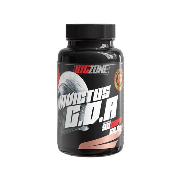 BigZone INVICTUS G.D.A günstig kaufen bei FitnessWebshop !