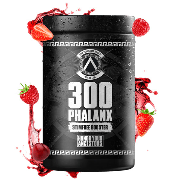 Gods Rage 300 PHALANX EDITION SPARTAN RAGE günstig kaufen bei FitnessWebshop !