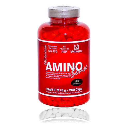 B-Sports AMINO SENSE günstig kaufen bei FitnessWebshop !
